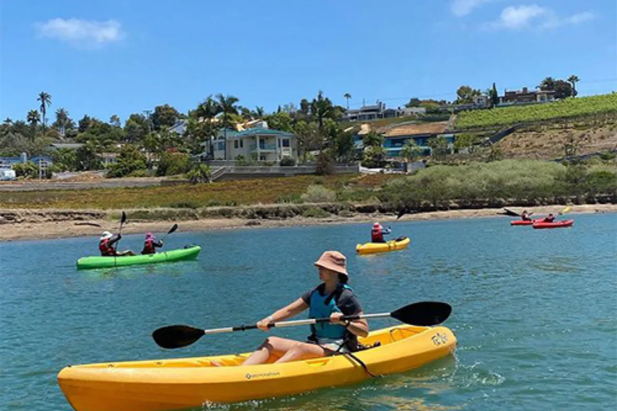 Kayakers paddling on the Carlsbad Lagoon with hillside homes and palm trees in the background in North County San Diego